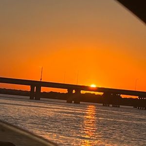 Meet your Posher, Tasha